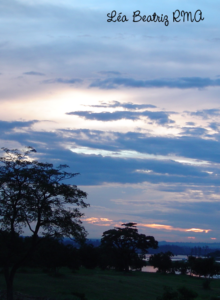 Céu com tons de azul e laranja rosado. E silhuetas negras das árvores e vegetação próximas ao lago.