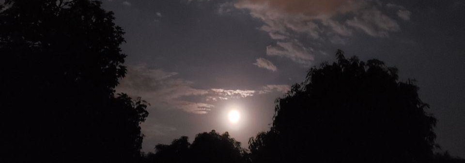 A Lua Cheia, plena, aparecendo por trás das árvores